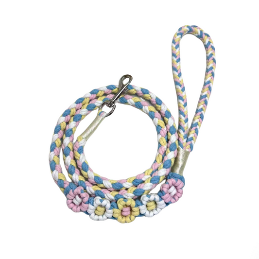 Blue & Pink | 5-Flower Handwoven Decorative Dog Leash