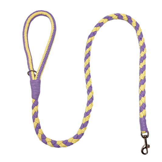 Purple & Yellow | Handmade Rope Dog Leash